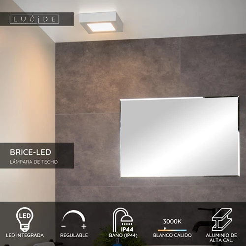 Lucide BRICE-LED - Lámpara de techo Baño - LED Regul. - 1x15W 3000K - IP44 - Blanco - USP